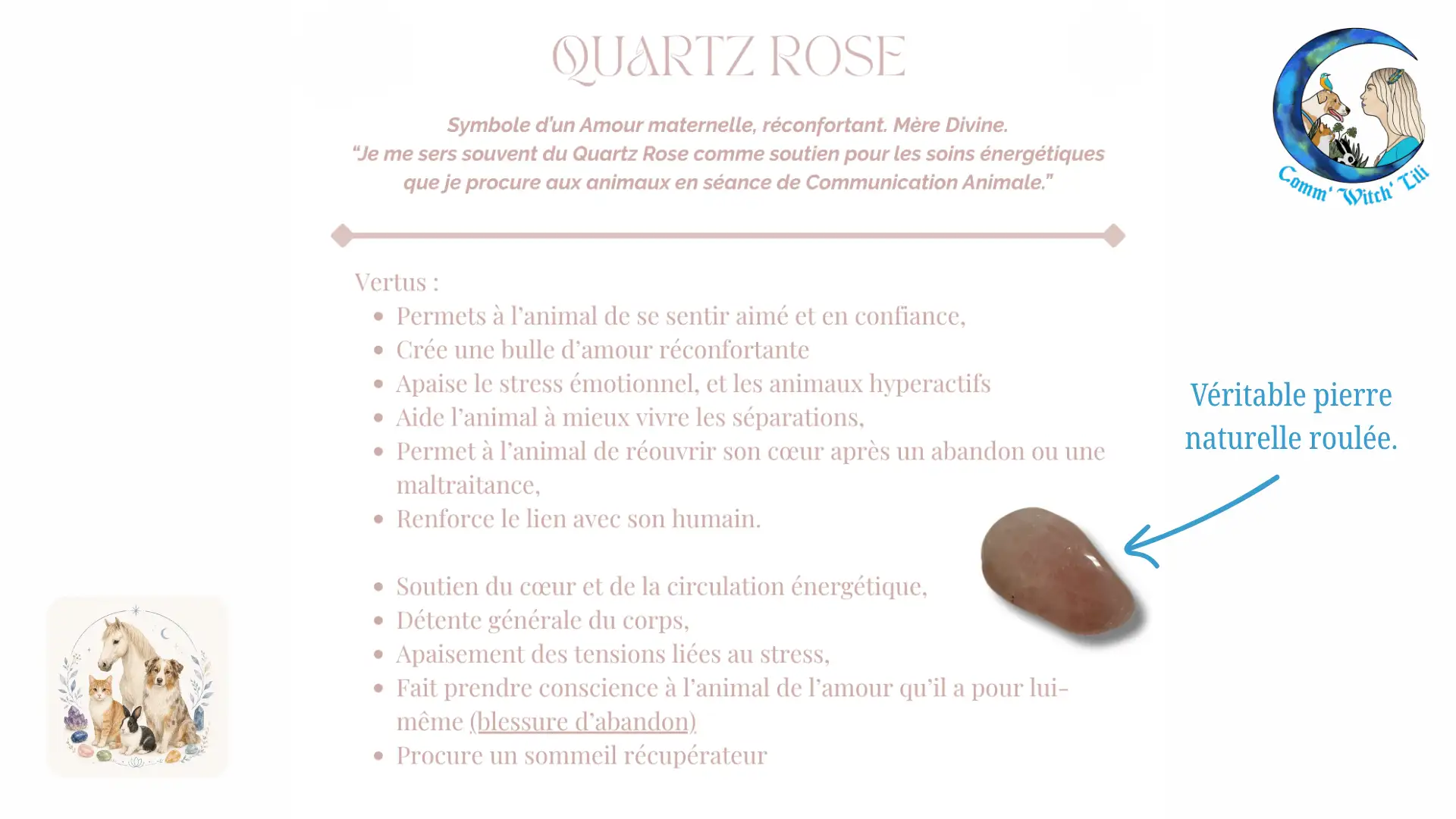 Pendentif en Quartz rose pour animaux