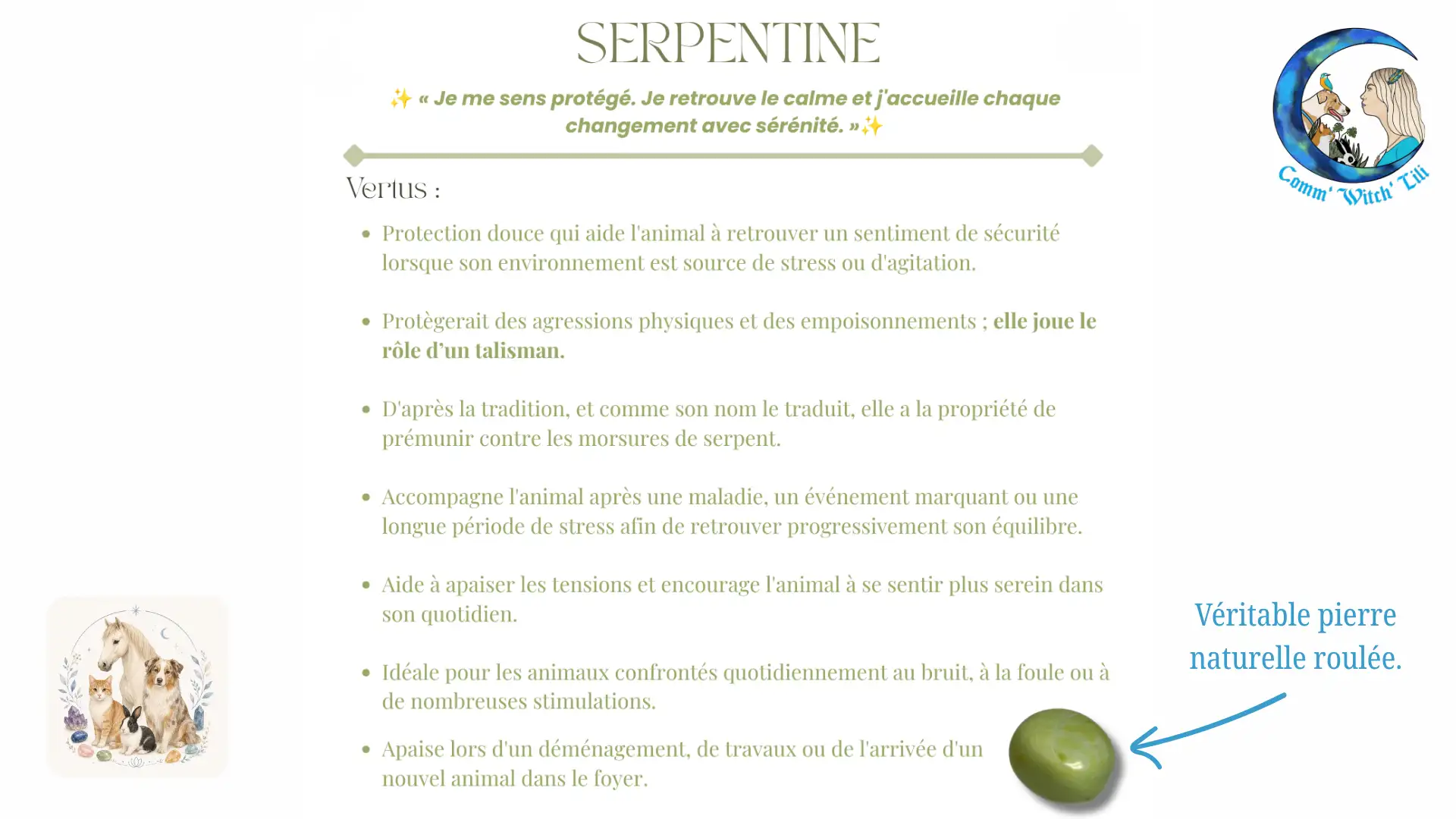 Pendentif en Serpentine pour animaux
