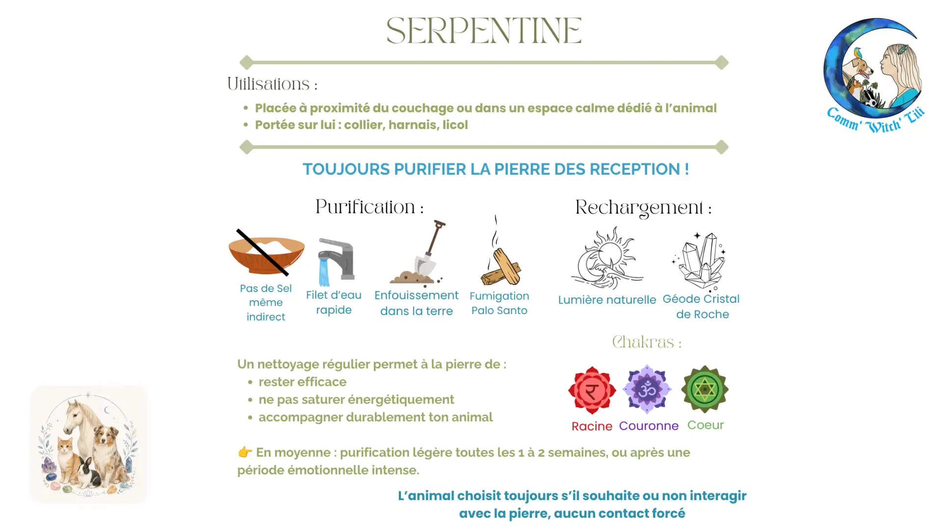 Pendentif en Serpentine pour animaux